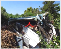  2025Ÿ��1162 ���� �������� ���޵� 1544       ����(������)���