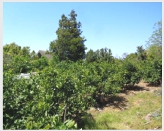  2025Ÿ��1162 ���� �������� ���޵� 1544       ����(������)���