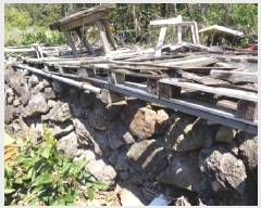  2025Ÿ��1162 ���� �������� ���޵� 1544       ����(������)���