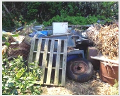  2025Ÿ��1162 ���� �������� ���޵� 1544       ����(������)���