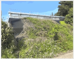  2025Ÿ��1170 ���� �������� �󿹵� 1730       ����(������)���