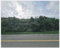  2025Ÿ��1186  �Ӿ߰��