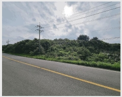  2025Ÿ��1186  �Ӿ߰��