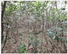  2025Ÿ��1186  �Ӿ߰��