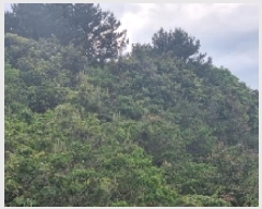  2025Ÿ��1186  �Ӿ߰��