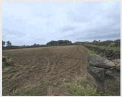  2025Ÿ��1194 ���� ���ֽ� ������ ���޸� 1113-10      ����(��)���