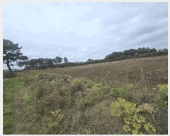  2025Ÿ��1194 ���� ���ֽ� ������ ���޸� 1113-10      ����(��)���