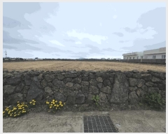  2025Ÿ��1194 ���� ���ֽ� ������ ���޸� 1113-10      ����(��)���