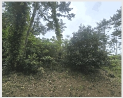  2025Ÿ��1194 ���� ���ֽ� ������ ���޸� 1113-10      ����(��)���