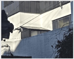  2025Ÿ��1213 ���� ���ֽ� �ֿ��� ������ 123-4      ���ð��