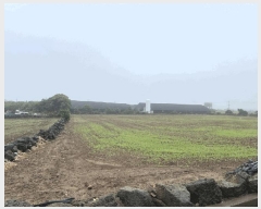  2025Ÿ��1250  �����