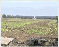  2025Ÿ��1250  �����