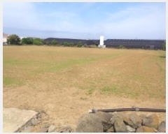  2025Ÿ��1250  �����