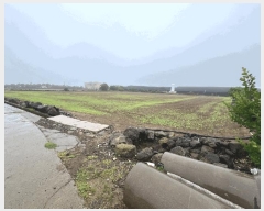  2025Ÿ��1250  �����