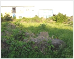  2025Ÿ��1279  �����