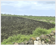  2025Ÿ��1306  �����