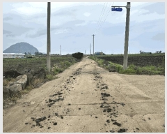  2025Ÿ��1306  �����