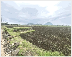  2025Ÿ��1306  �����