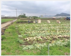  2025Ÿ��1306  �����