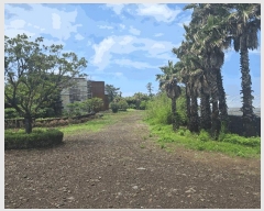  2025Ÿ��1357  â�����