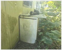  2025Ÿ��1357  â�����