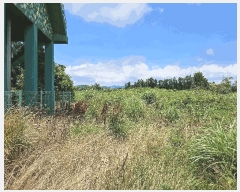  2025Ÿ��1439  �Ӿ߰��