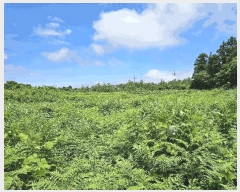  2025Ÿ��1439  �Ӿ߰��