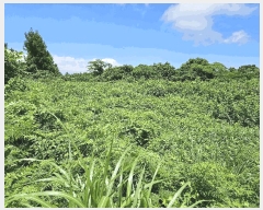  2025Ÿ��1439  �Ӿ߰��