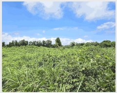  2025Ÿ��1439  �Ӿ߰��