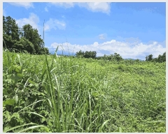  2025Ÿ��1439  �Ӿ߰��