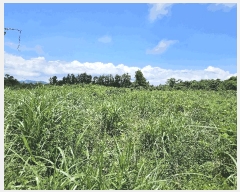  2025Ÿ��1439  �Ӿ߰��