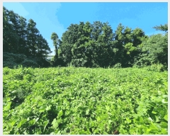  2025Ÿ��1475  ���������