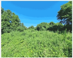  2025Ÿ��1475  ���������