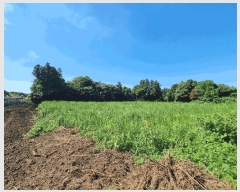  2025Ÿ��1475  ���������