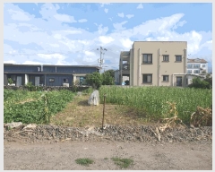  2025Ÿ��1548 ���� ���ֽ� �ƶ��̵� 1316-5       ����(������)���