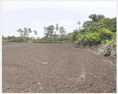  2025Ÿ��1558 ���� ���ֽ� ������ �ѵ��� 852      ����(��1)���