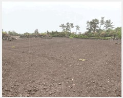  2025Ÿ��1558 ���� ���ֽ� ������ �ѵ��� 852      ����(��1)���