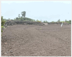  2025Ÿ��1558 ���� ���ֽ� ������ �ѵ��� 852      ����(��1)���