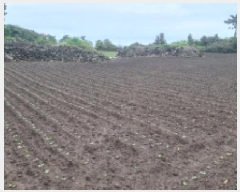  2025Ÿ��1558 ���� ���ֽ� ������ �ѵ��� 852      ����(��1)���