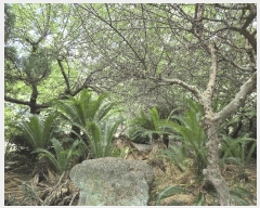  2025Ÿ��1567  ���������