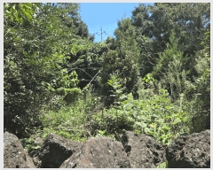  2025Ÿ��1567  ���������