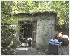  2025Ÿ��1567  ���������