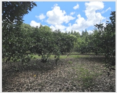  2025Ÿ��1567  ���������