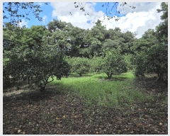  2025Ÿ��1567  ���������