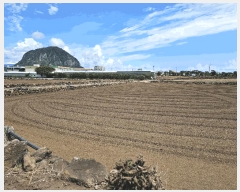  2025Ÿ��1578  �����