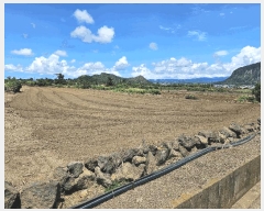  2025Ÿ��1578  �����