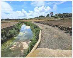  2025Ÿ��1578  �����