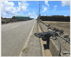  2025Ÿ��1578  �����