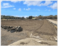  2025Ÿ��1578  �����