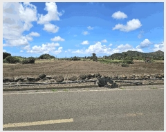  2025Ÿ��1578  �����